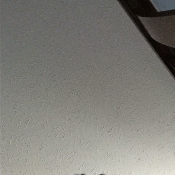 Meet your Posher, Chauncey - Picture 1 of 1